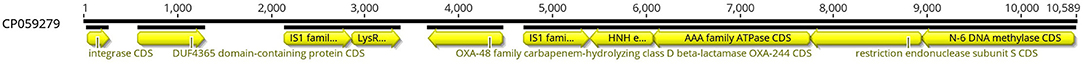www.frontiersin.org