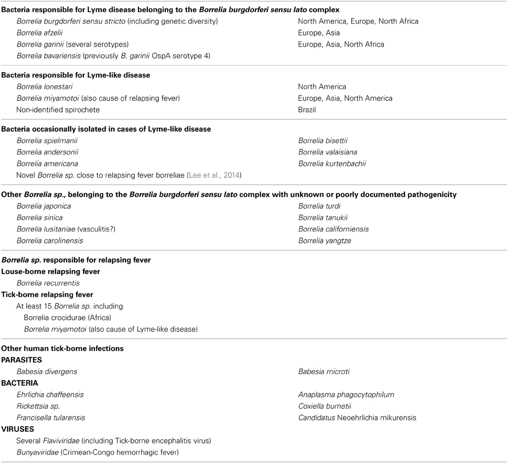 Lyme Co Infections Chart