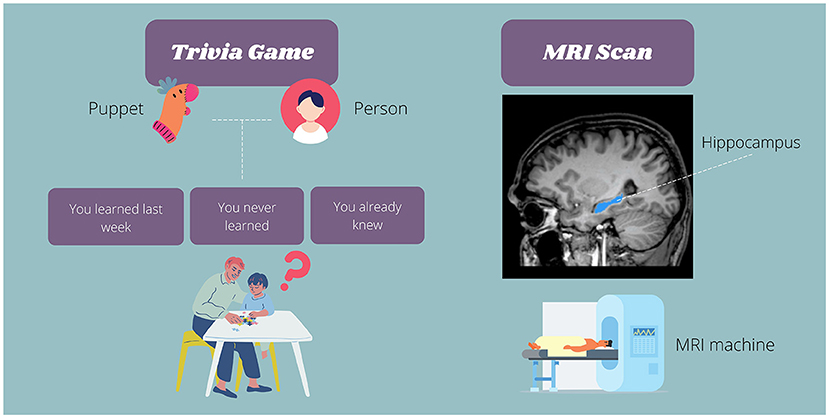 Figure 2 - Notre étude comportait un jeu de questions/réponses (Trivia Game) pour tester la mémoire des enfants et des images du cerveau prises à l’aide d’un scanner IRM.