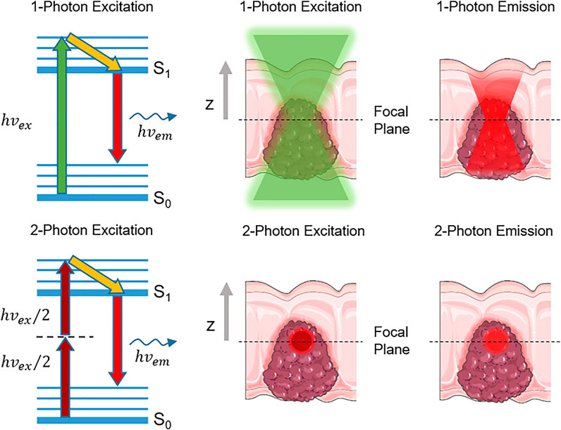 Pulse length measurement of the HGHG output using two-photon absorption