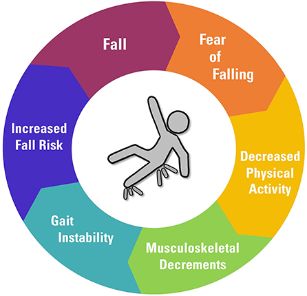 Dementia Fall Risk