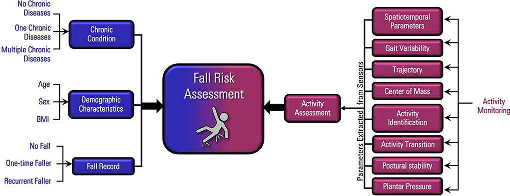 Dementia Fall Risk