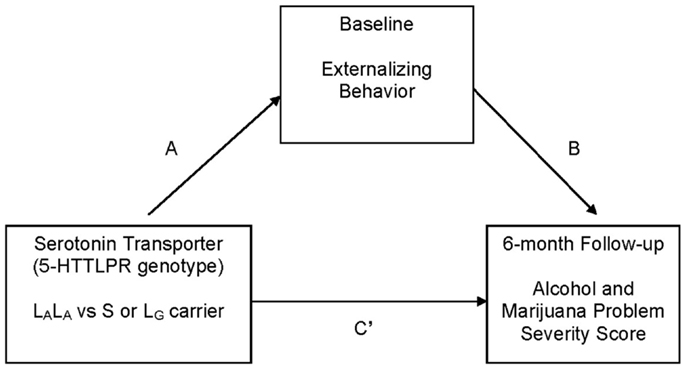 www.frontiersin.org