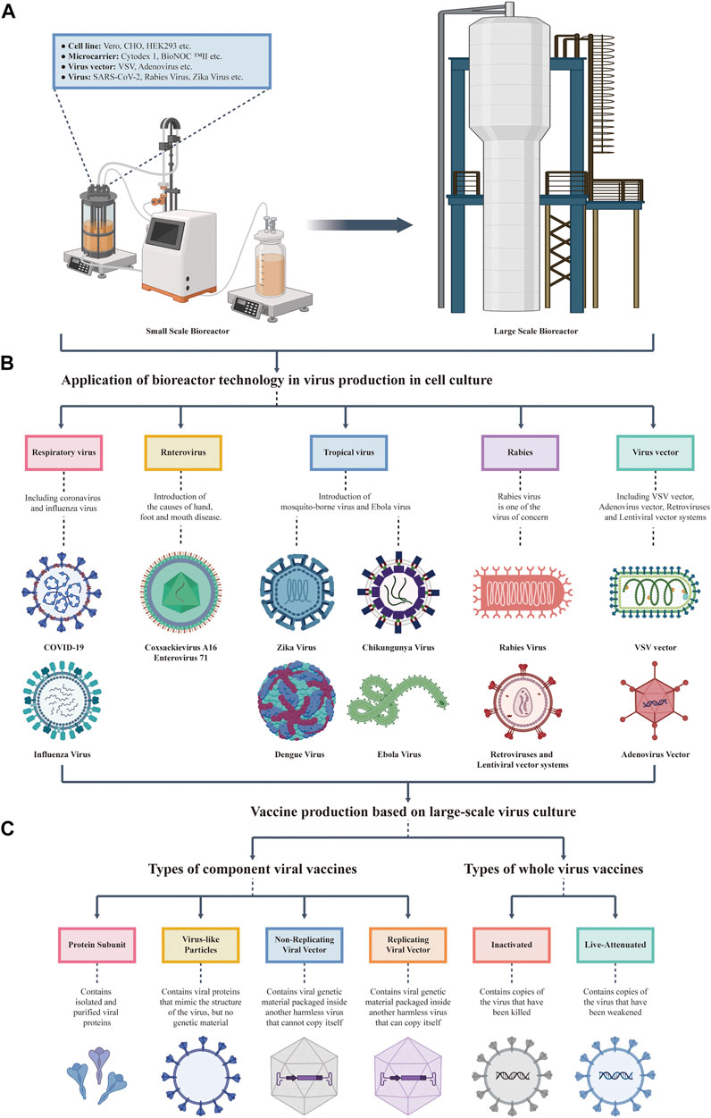 Solved An industrial production process costs C(q) million