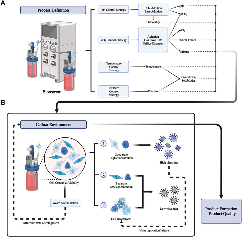 Frontiers | Application of bioreactor technology for cell culture-based  viral vaccine production: Present status and future prospects
