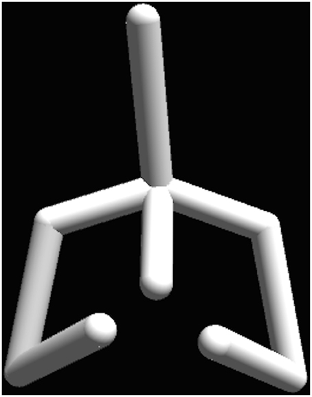 www.frontiersin.org