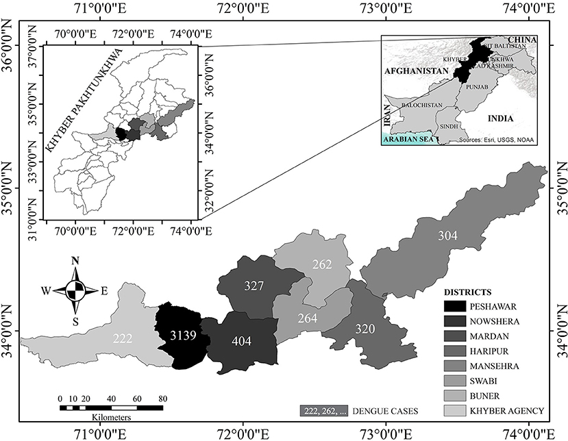 research articles on dengue fever in pakistan www.frontiersin.org