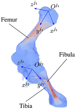 www.frontiersin.org