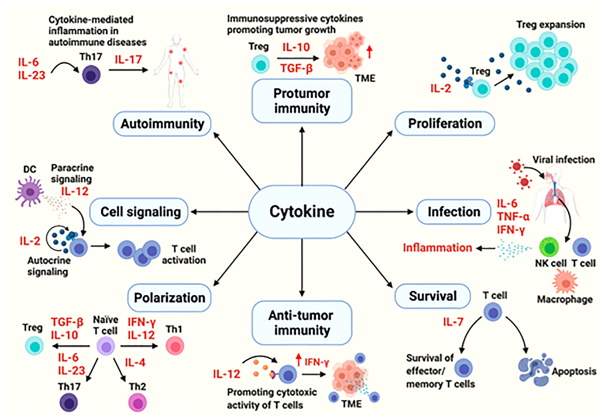 Frontiers | Serum cytokine levels for predicting immune-related adverse ...
