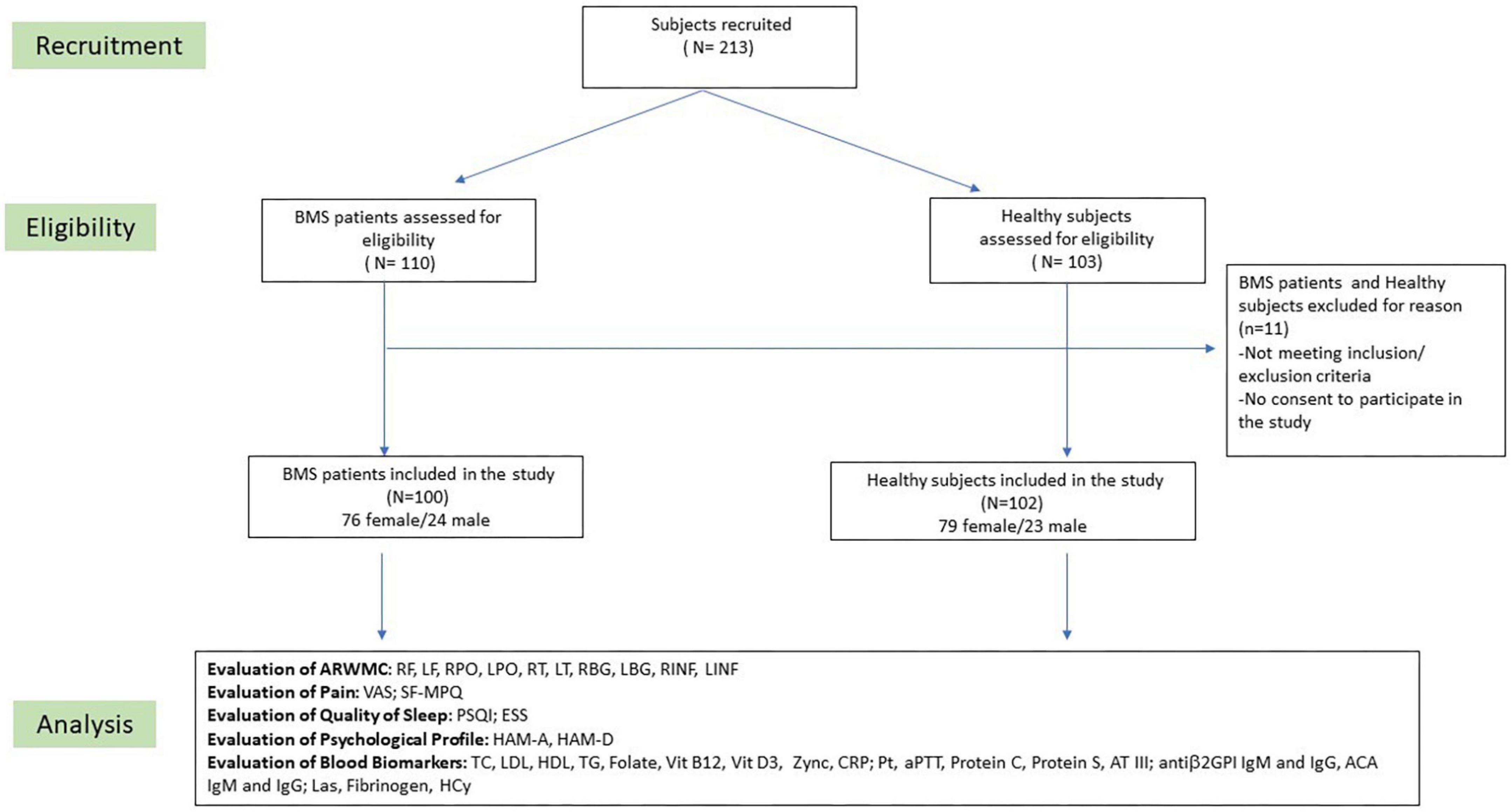 Frontiers White matter hyperintensities in Burning Mouth Syndrome assessed according to the Age-Related White Matter Changes scale