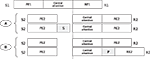 www.frontiersin.org