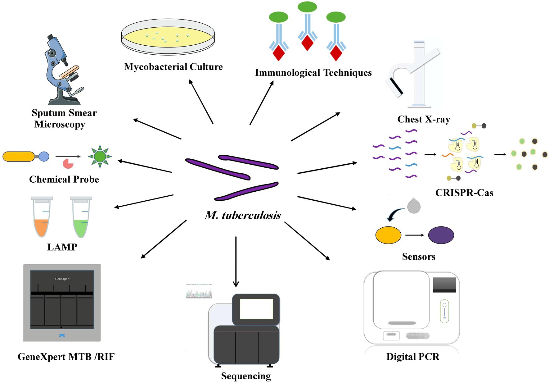 Frontiers | Improved Conventional and New Approaches in the Diagnosis ...