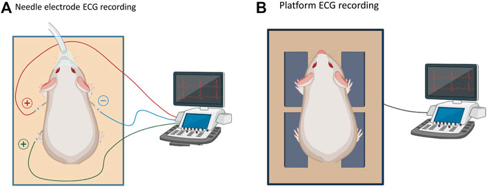 Frontiers | Demographic and Methodological Heterogeneity in ...