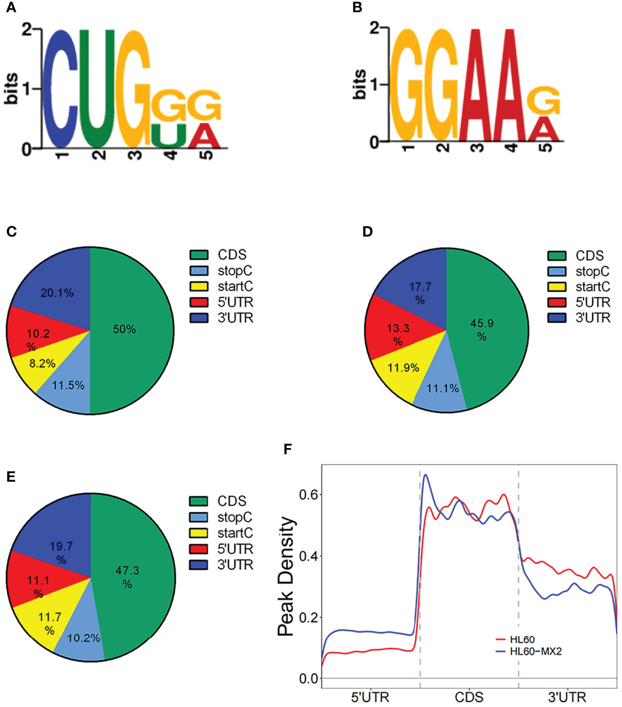 Motifs detected by DREME on the MeRIP-seq datasets