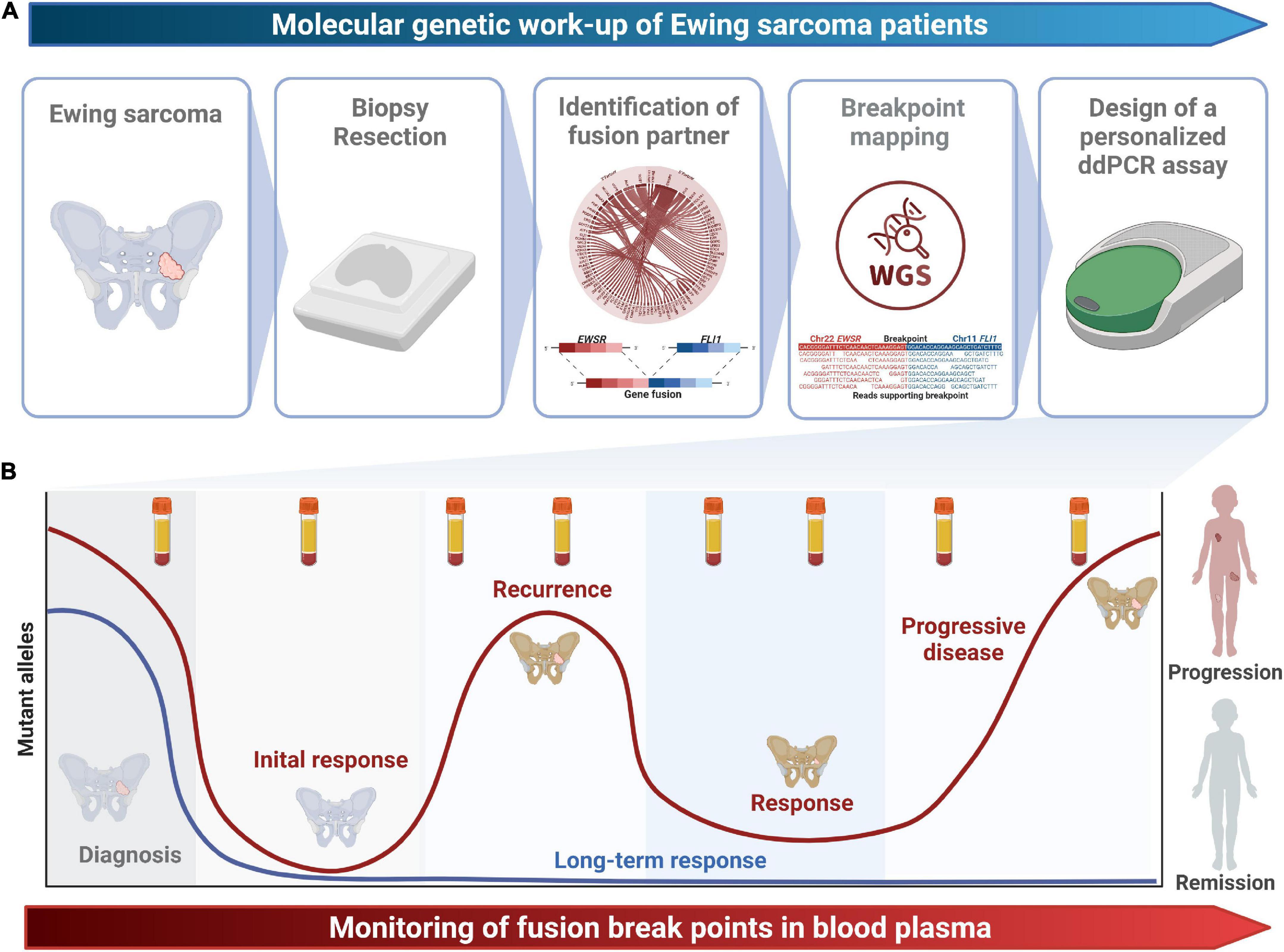 Biomedicines, Free Full-Text