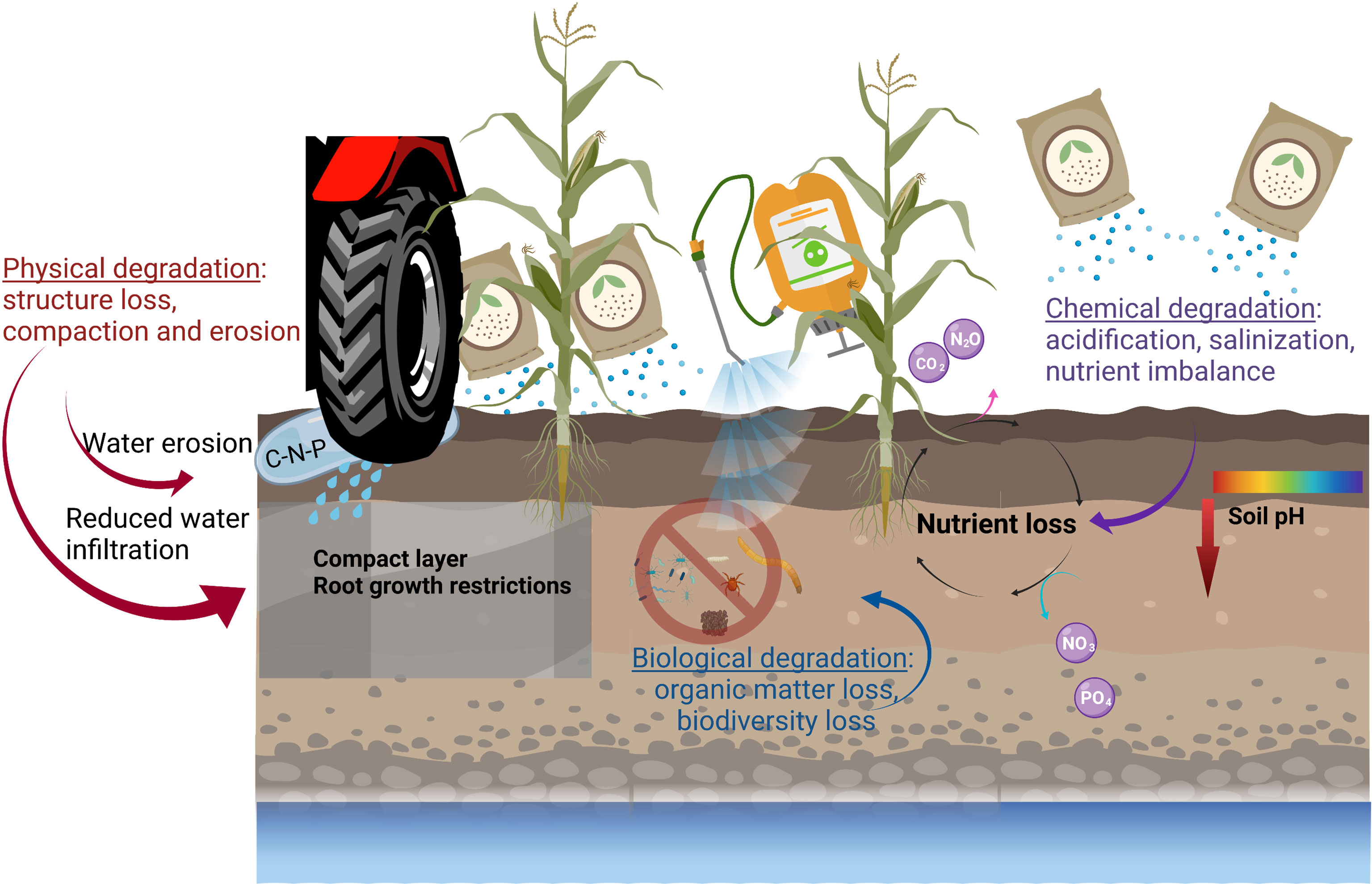 SOIL - Quality assessment of meta-analyses on soil organic carbon