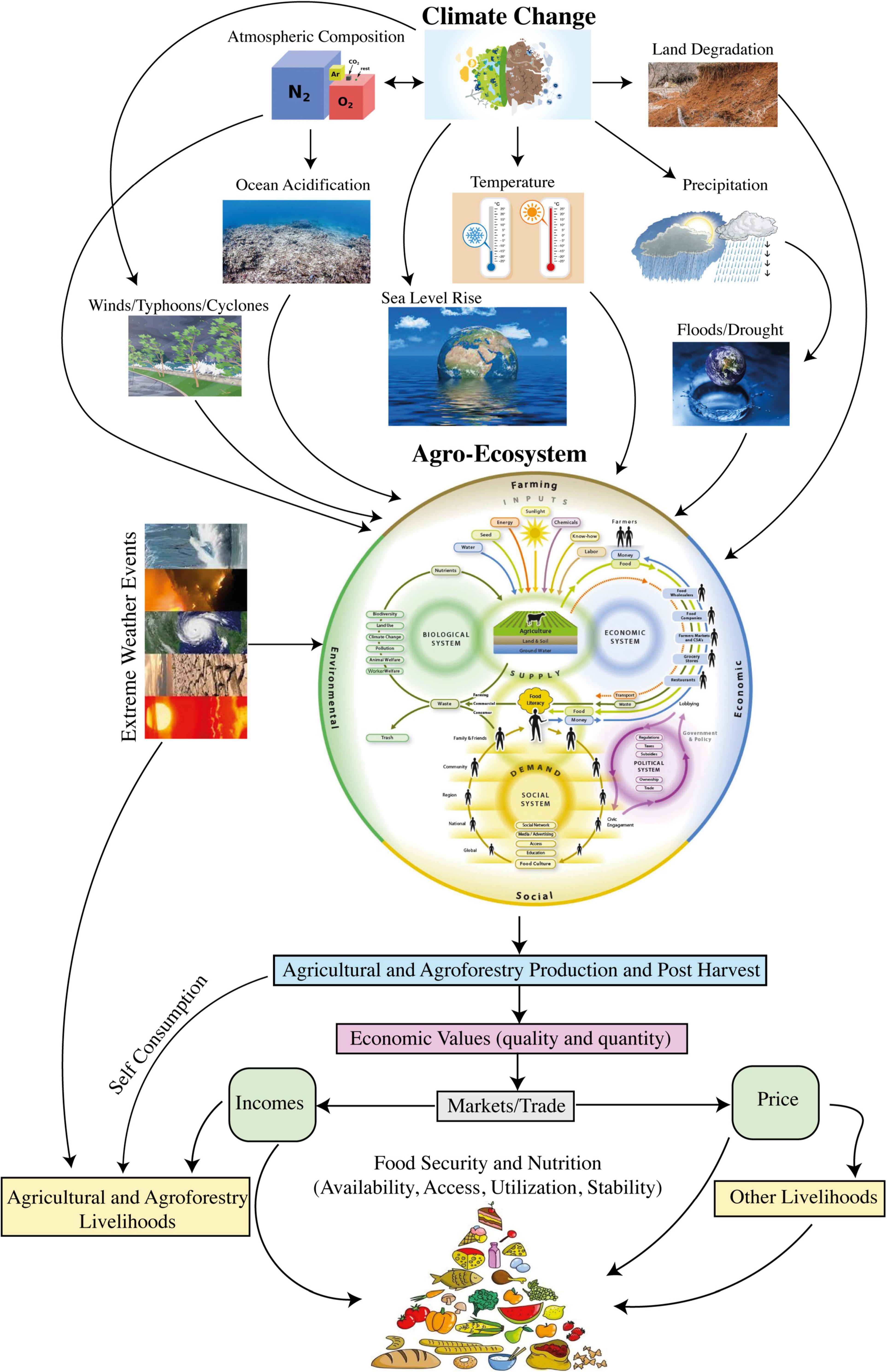 Decision‐making factor interactions influencing climate migration