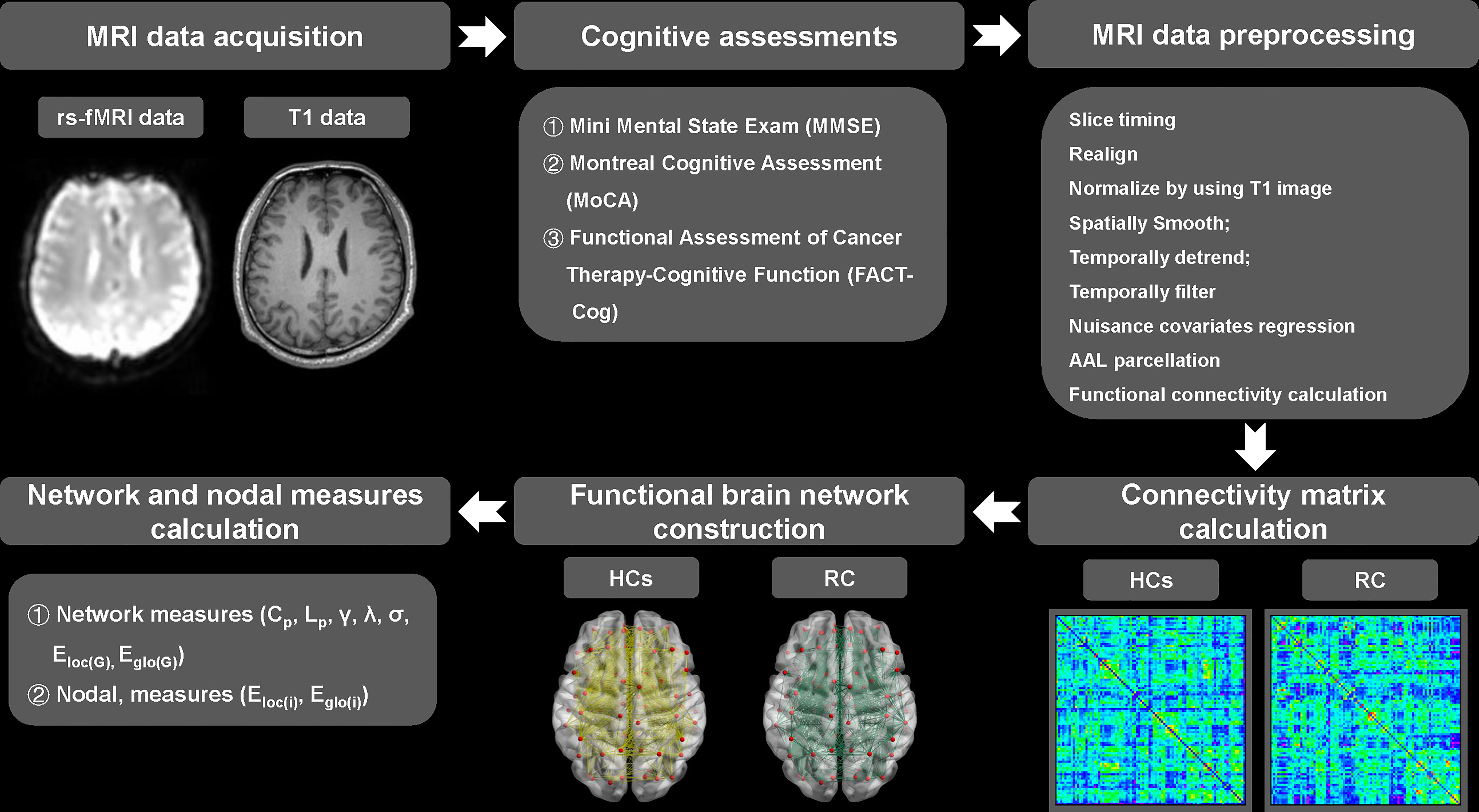 BrainFx 360  Comprehensive Cognitive Functional Assessment