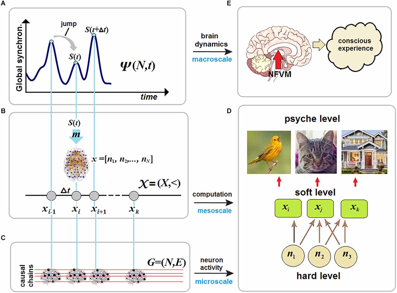 future  Qualia Computing