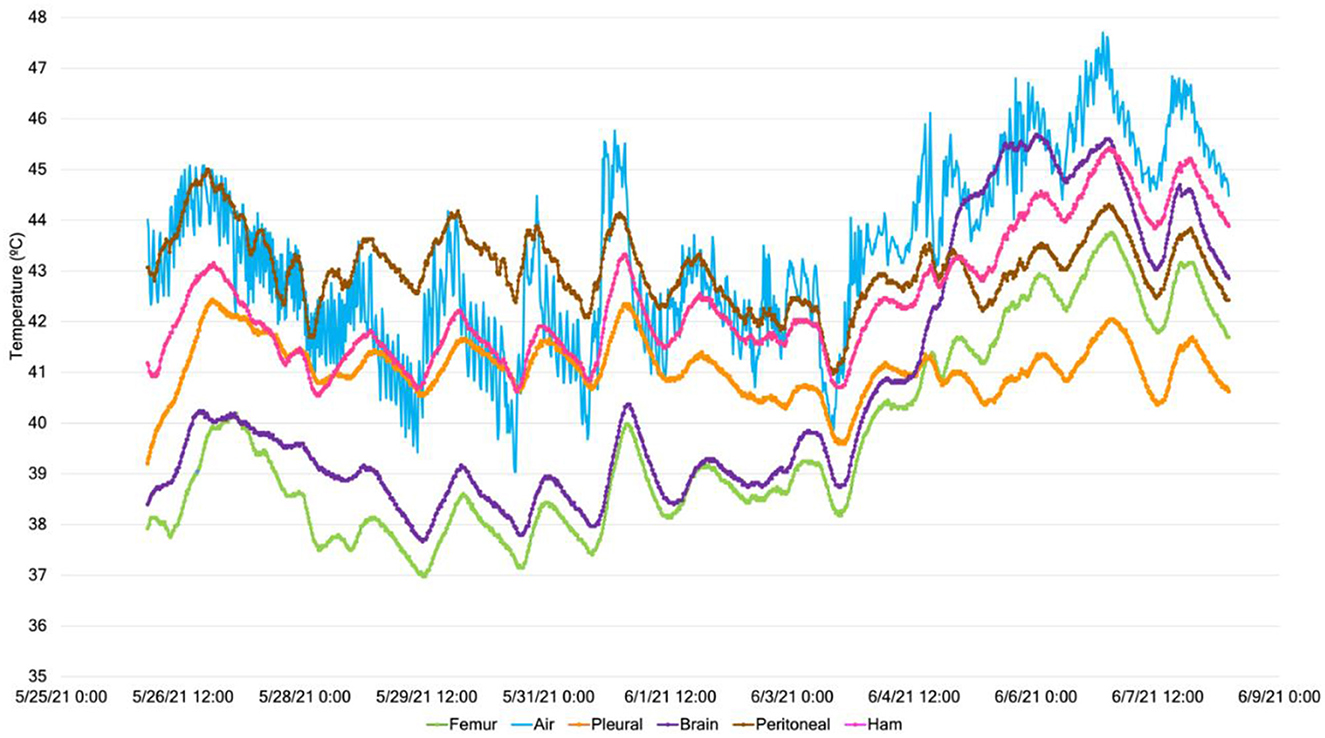 Frontiers | Characterization of in-barn heat processed swine mortalities