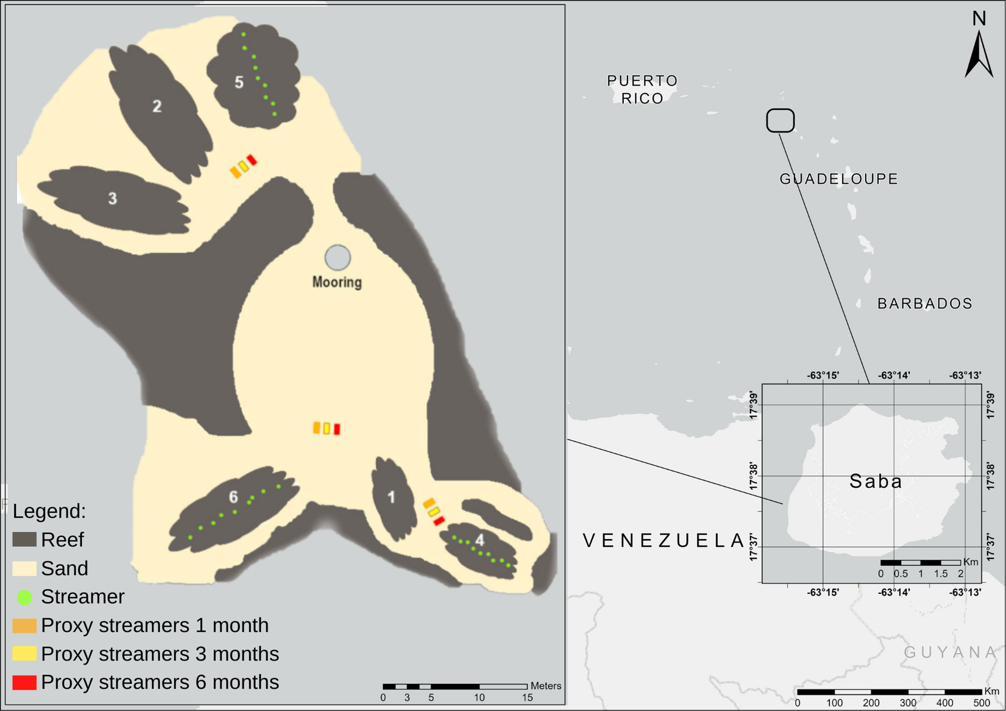 www.frontiersin.org