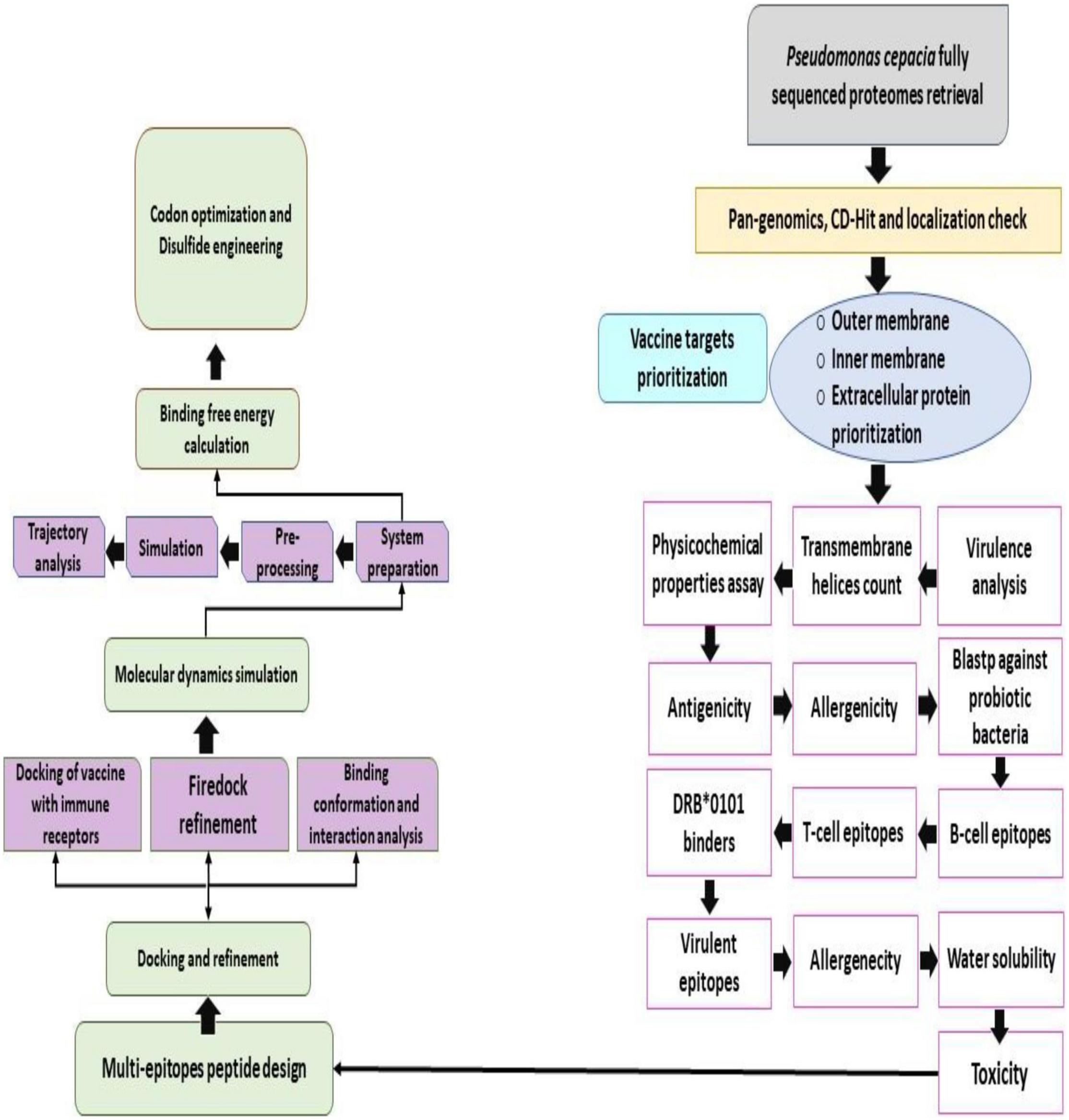 Applied and experimental bacterial vaccines. Today, established