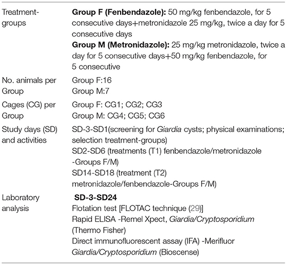 fenbendazole for sale