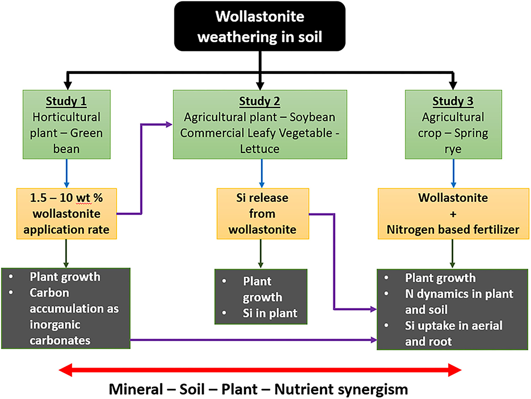 Conceptualizing novel CH3OH-based thermochemical energy storage