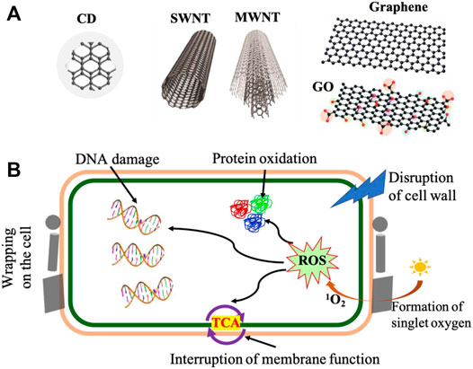 Sustainable Lignin-Based Coatings Doped with Titanium Dioxide