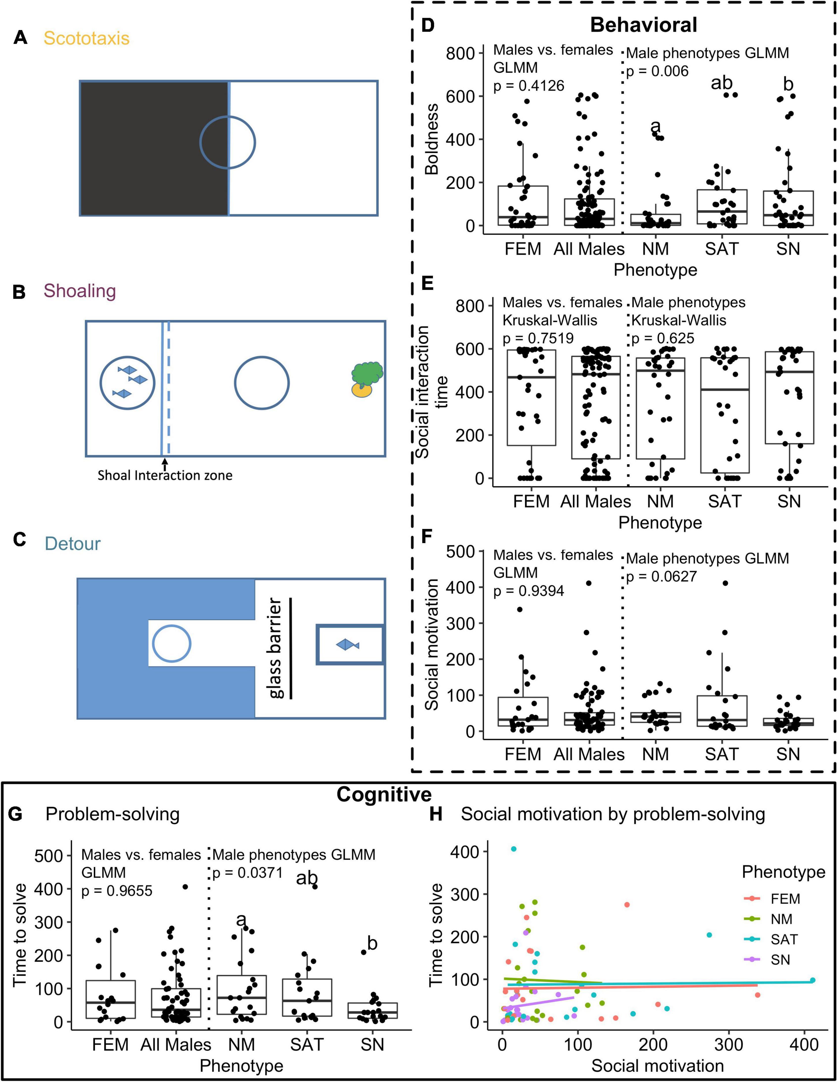 Frontiers  Boldness Predicts Aggressiveness, Metabolism, and