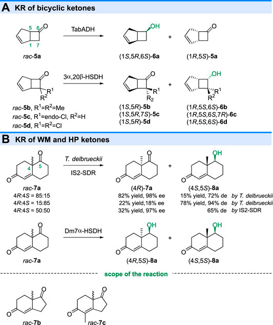 Frontiers  Ketoreductase Catalyzed (Dynamic) Kinetic Resolution for  Biomanufacturing of Chiral Chemicals