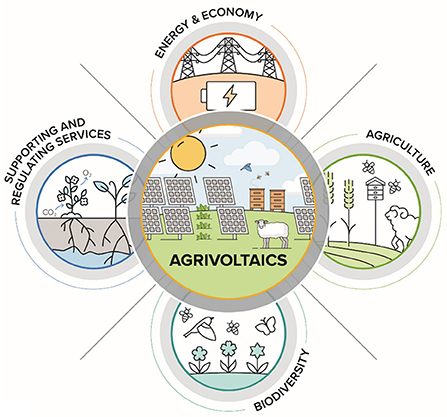 Frontiers  Opportunities for agrivoltaic systems to achieve synergistic  food-energy-environmental needs and address sustainability goals