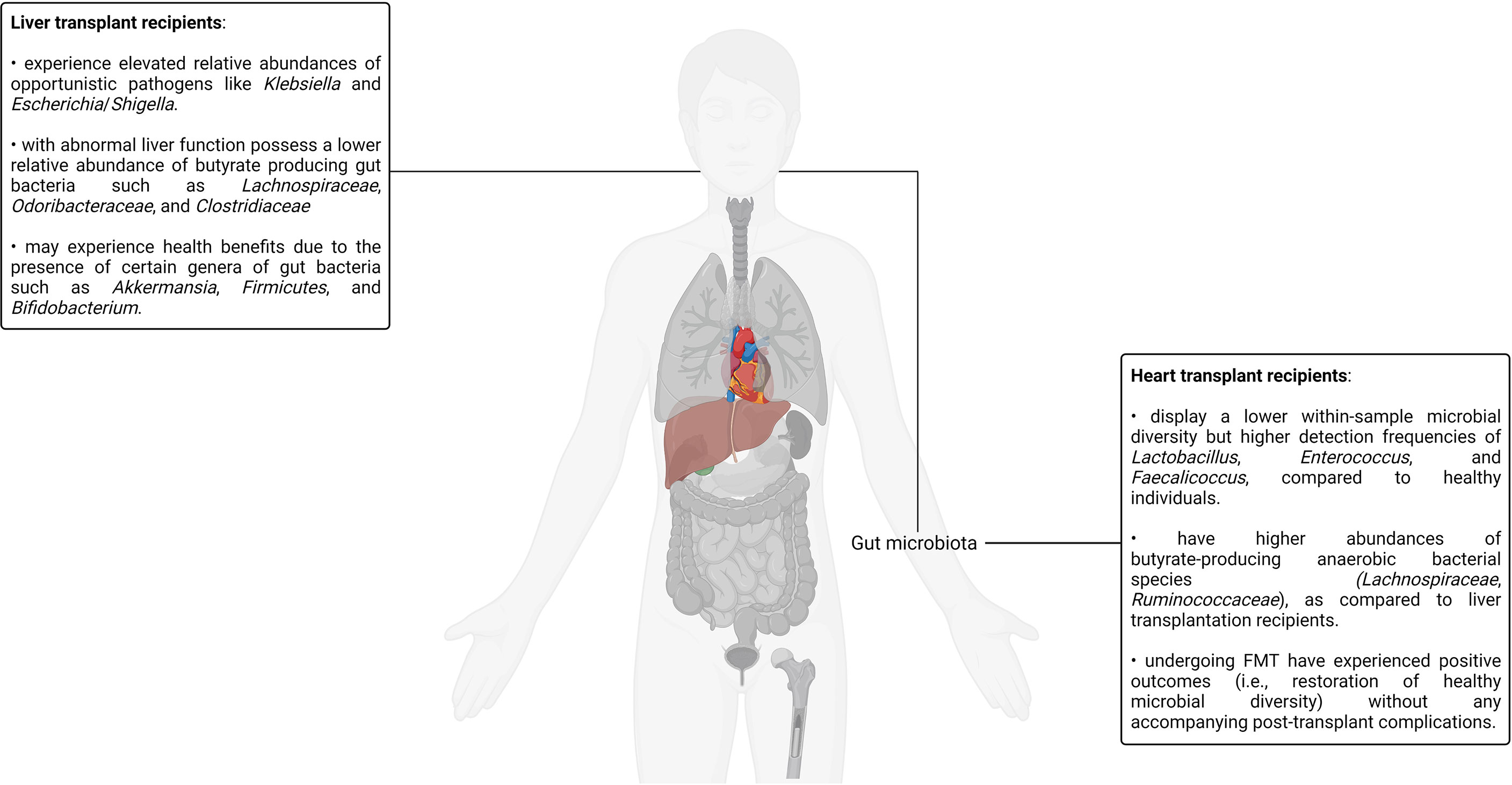 Frontiers The Impact of Human Microbiotas in Hematopoietic Stem Cell and Organ Transplantation