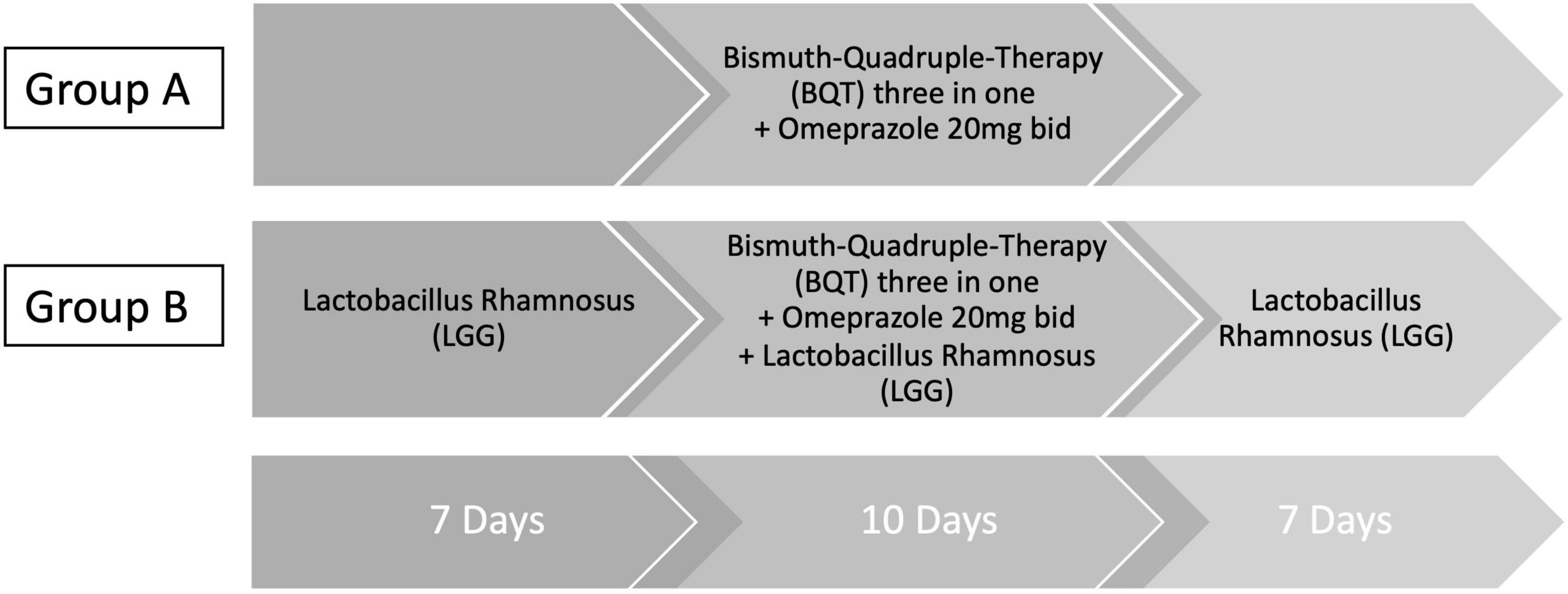 Frontiers  Lactobacillus rhamnosus GG supplementation on eradication rate  and dyspepsia in Helicobacter pylori infection treated with three-in-one  bismuth quadruple therapy