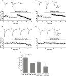 www.frontiersin.org