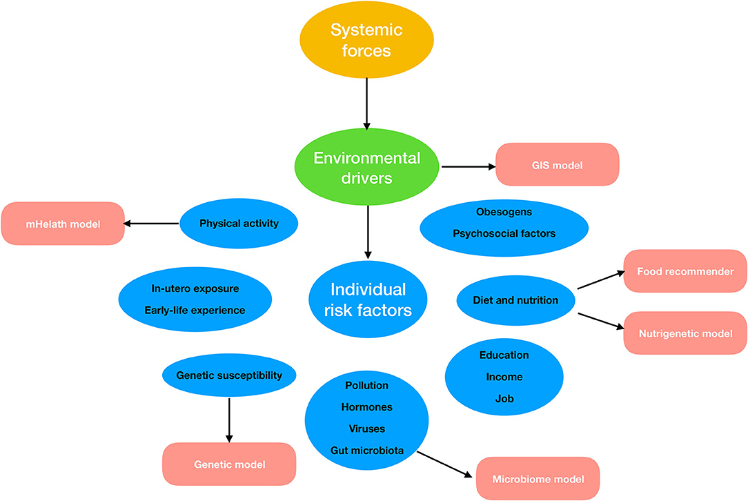 Machine Learning: Buy Machine Learning by Mitchell Thomas at Low