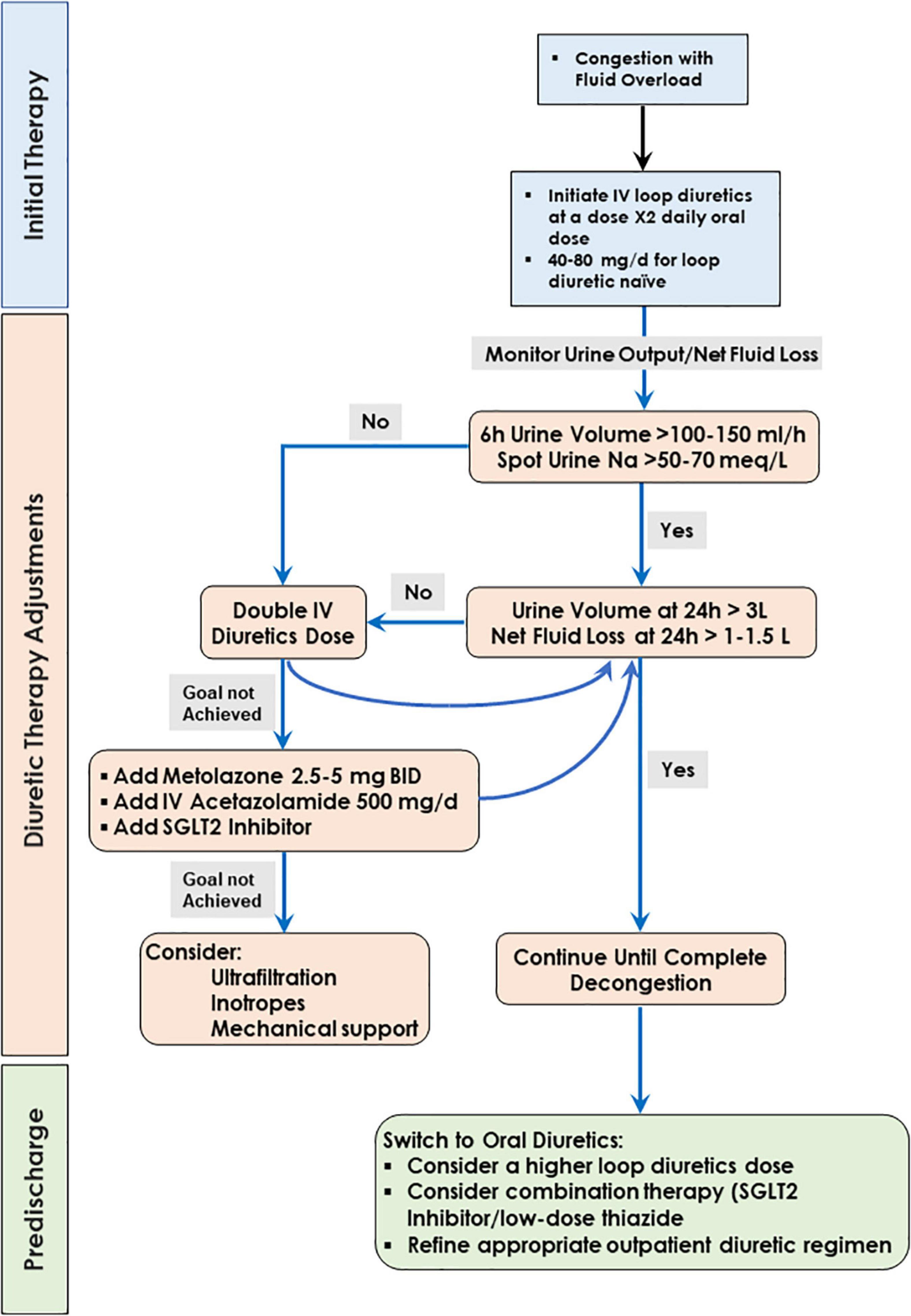 JCS JHFS 2021 Guideline Focused Update On Diagnosis And 60 OFF