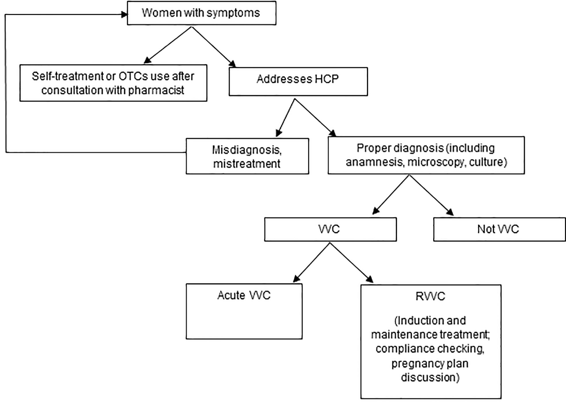 Frontiers Management of recurrent vulvovaginal candidosis