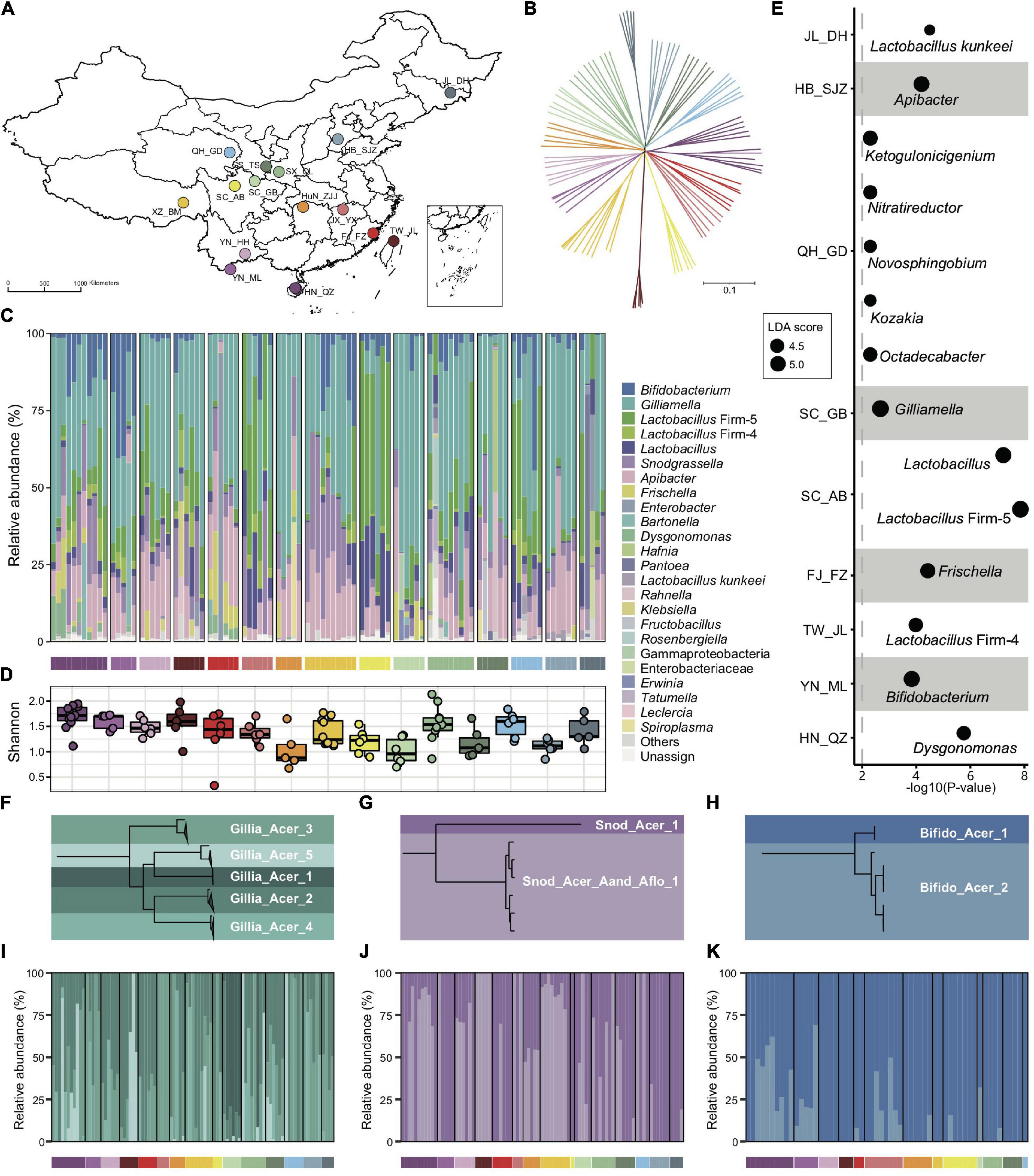 Frontiers  Taxonomical composition and functional analysis of