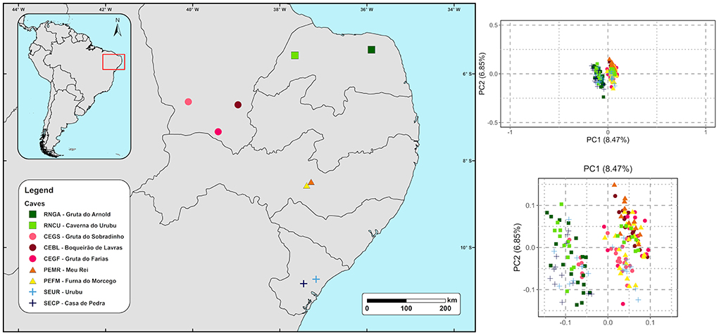 Relatório Anual Cecav 2021 - ICMBio - CECAV, PDF Online
