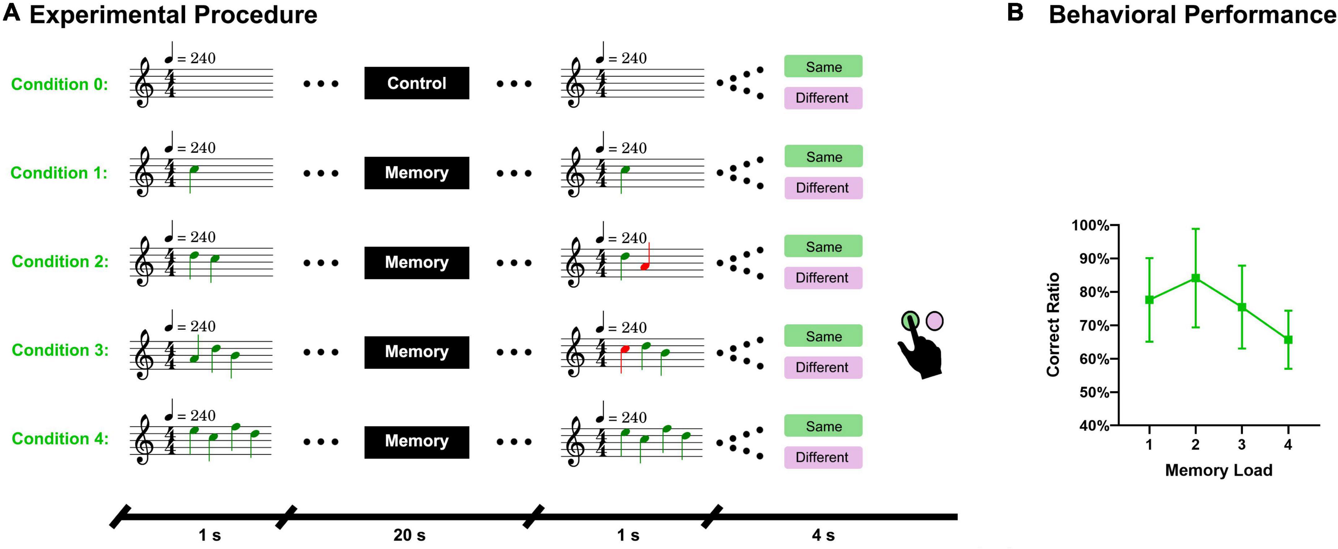 Frontiers | The bottom-up information transfer process and