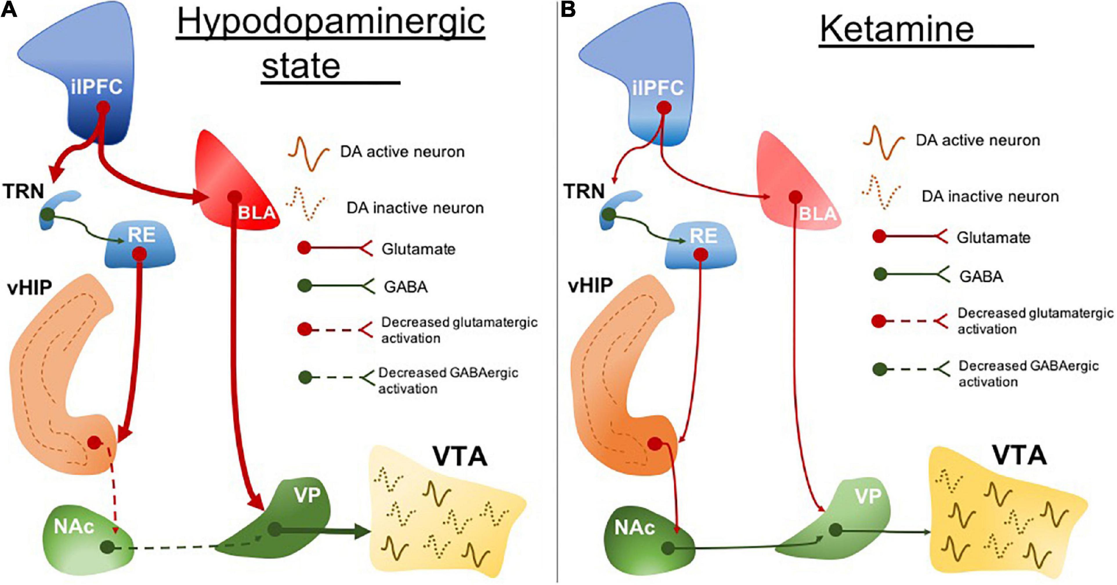 Frontiers  Behavioral and neuropsychiatric challenges across the