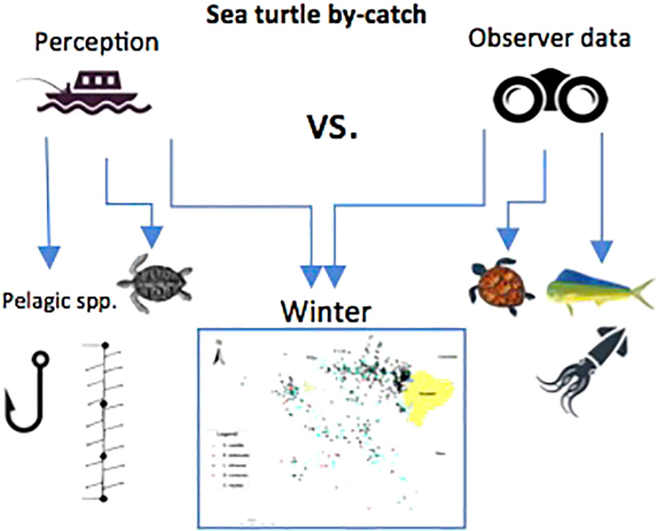 Impacts of fisheries bycatch on marine turtle populations worldwide: toward  conservation and research priorities - Wallace - 2013 - Ecosphere - Wiley  Online Library