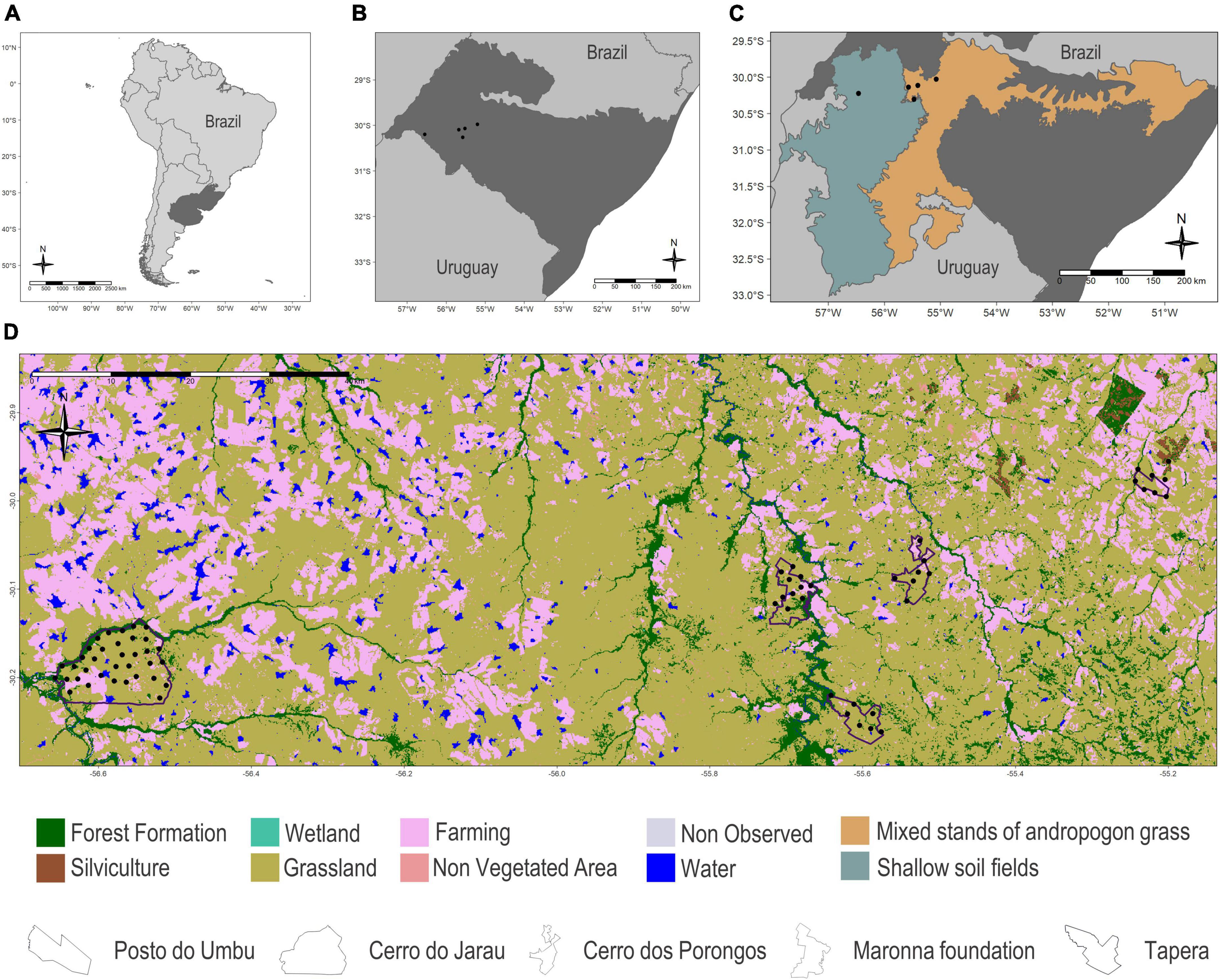 Frontiers  Ecosystems Services Provided by Bats Are at Risk in Brazil