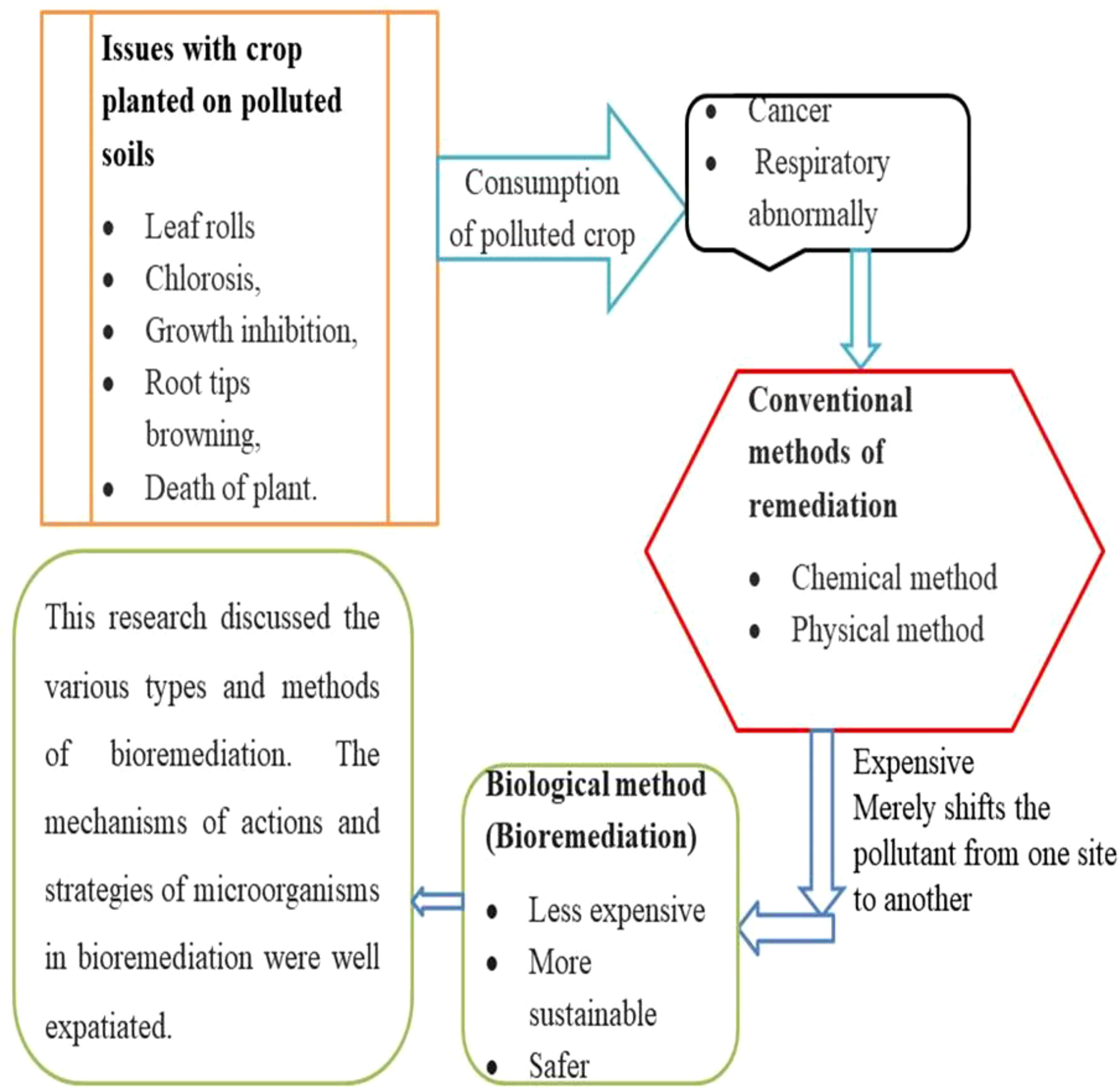 write an essay on two methods of bioremediation