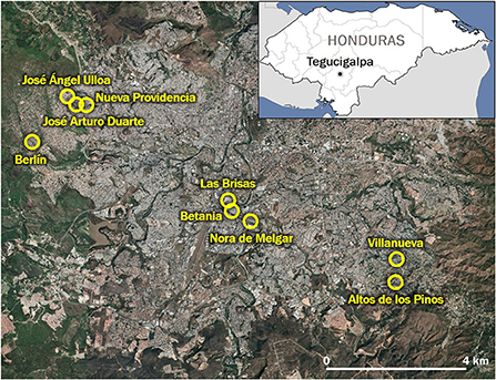 Complexo do Alemão RP