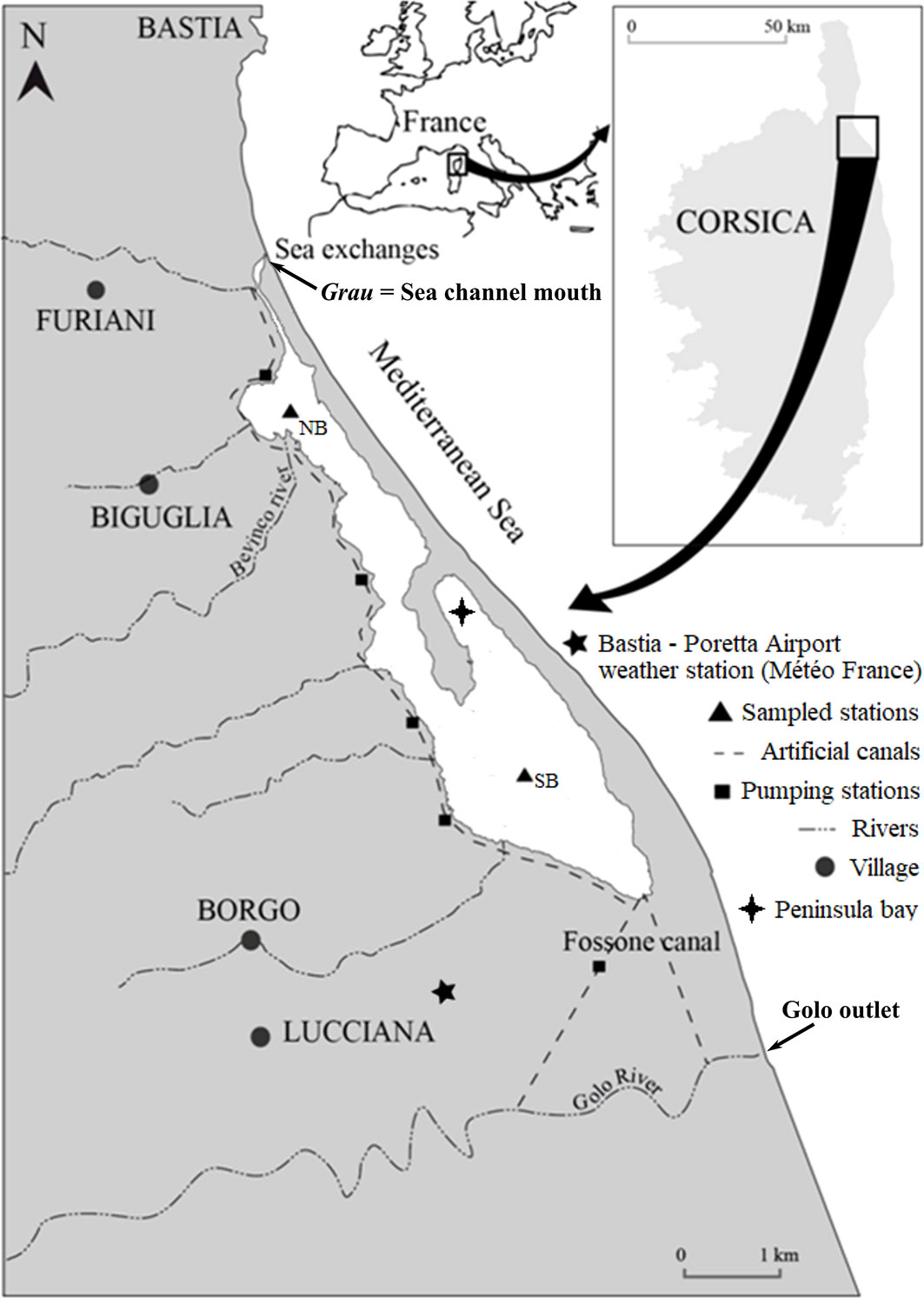 www.frontiersin.org