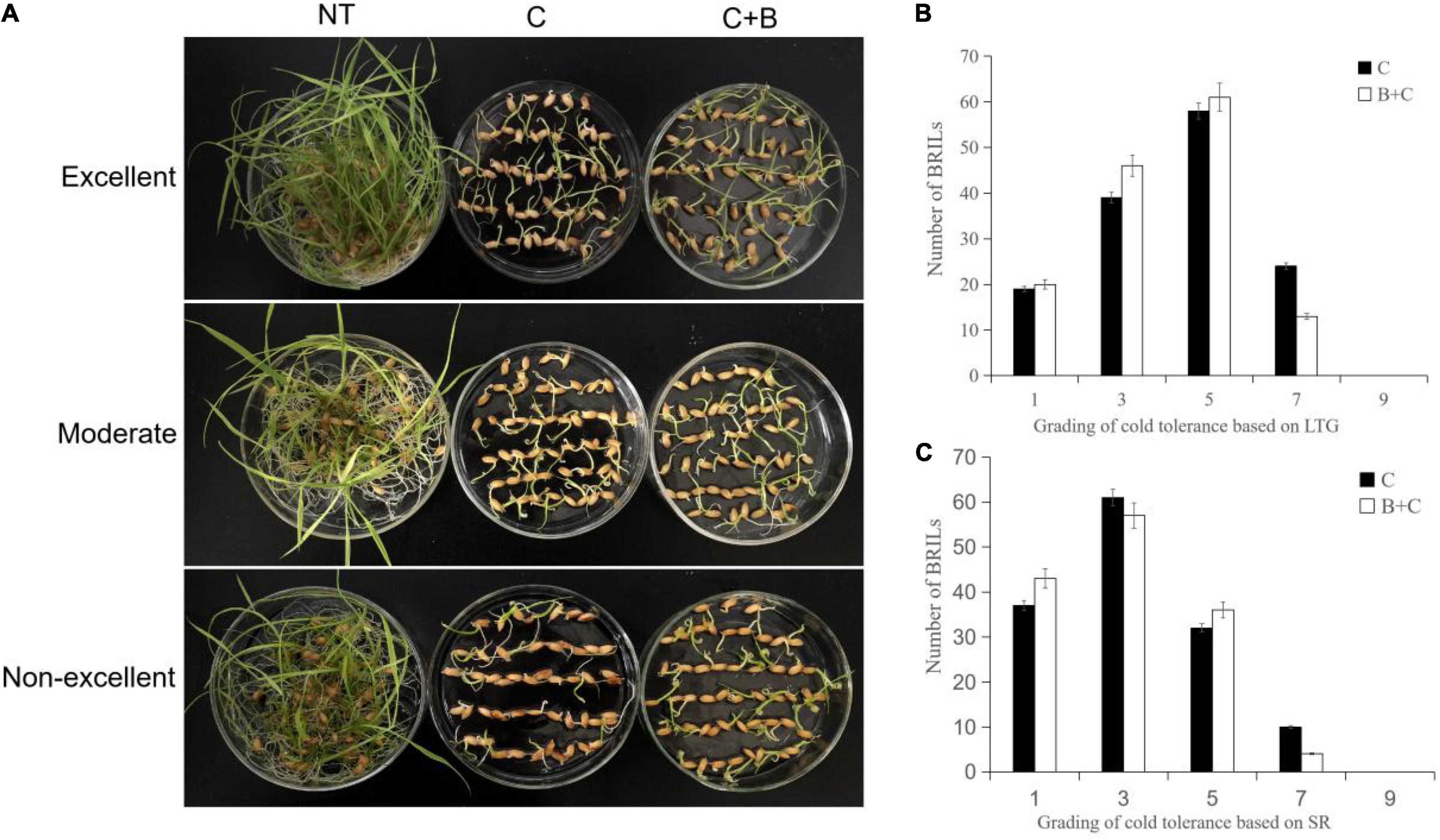 Frontiers | Quantitative Trait Loci Mapping Analysis for Cold 