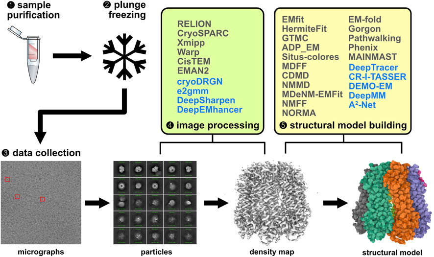 Computational biophysics meets cryo‐EM revolution in the search for the  functional dynamics of biomolecular systems - Costa - 2024 - WIREs  Computational Molecular Science - Wiley Online Library