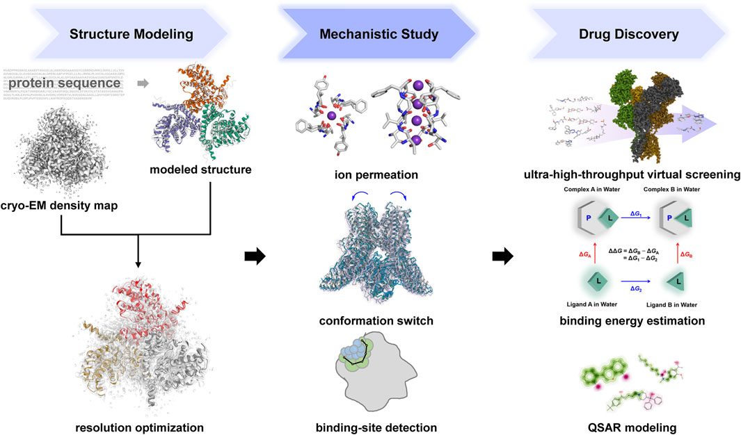 Frontiers  Multi-Scale Flexible Fitting of Proteins to Cryo-EM